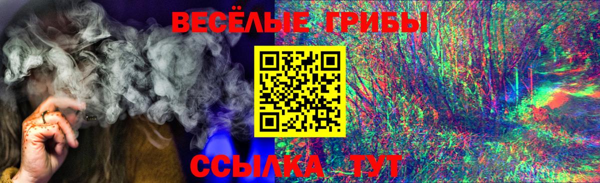 Галлюциногенные грибы Psilocybine cubensis  купить наркоту  Северск  Вход с VPN 
