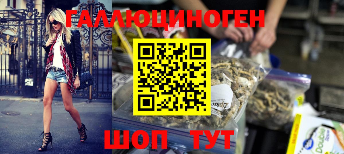 Галлюциногенные грибы Cubensis Северск